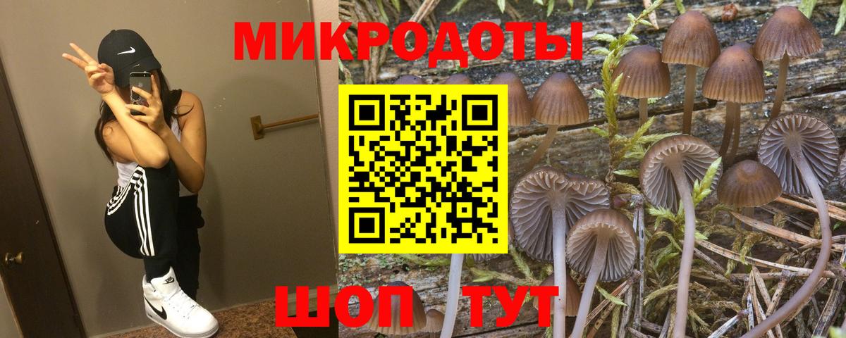 Псилоцибиновые грибы Psilocybine cubensis Саров