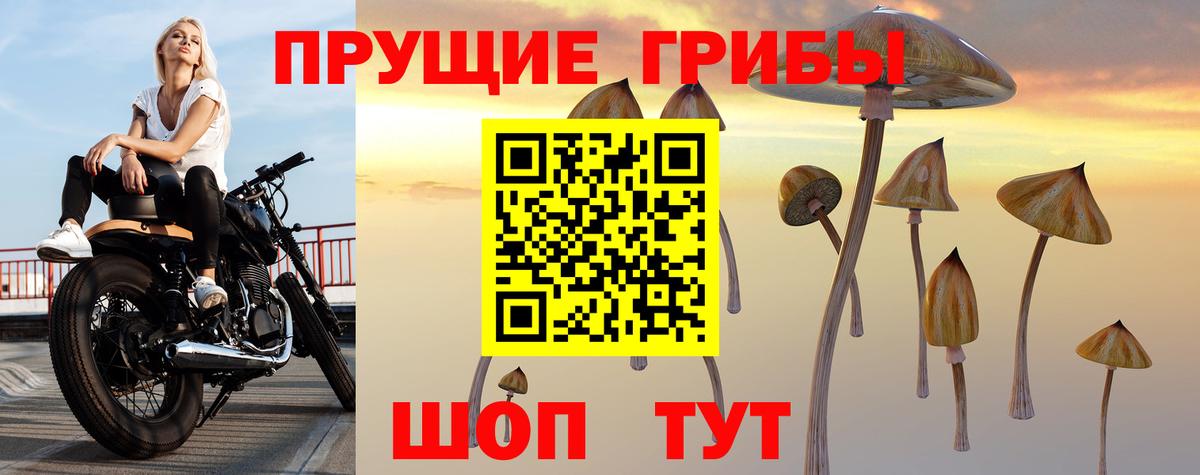 Саров  Галлюциногенные грибы прущие грибы  Вход с VPN  Псилоцибиновые грибы Cubensis 